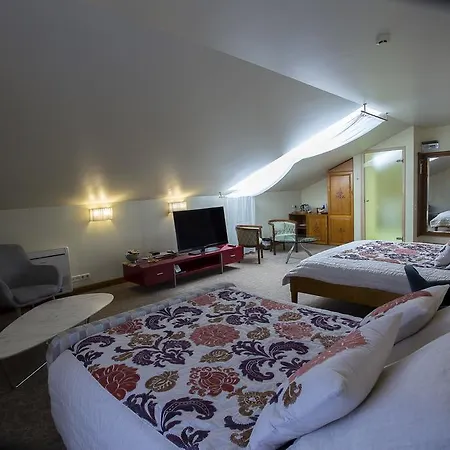 Pazaislis Park Hotelli 4*
